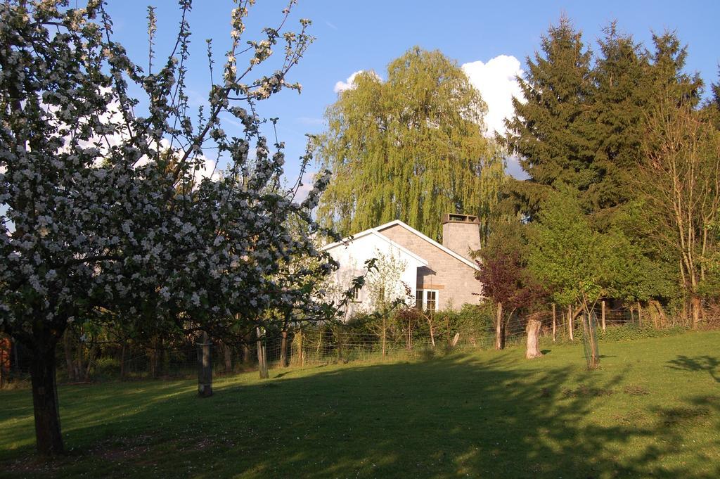 Sous Le Saule Holiday